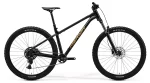 Merida 2025 Big.Trail 300