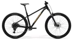Merida 2026 Big.Trail 300